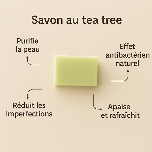 Savon Tea Tree — Purifie et rééquilibre les peaux à imperfections