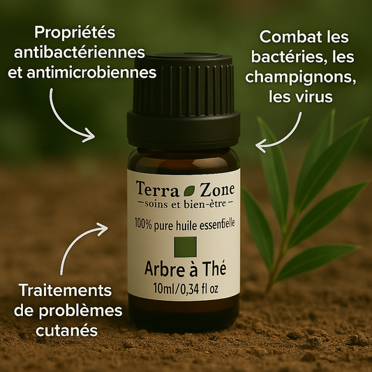 Huile Tea Tree – Purifie et apaise les peaux à imperfections