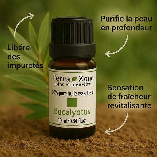 Huile Eucalyptus – Rafraîchit et régule l’excès de sébum