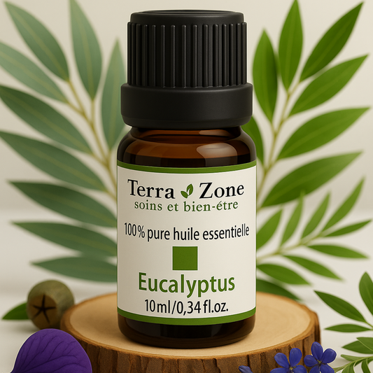Huile Eucaliptus 100% Naturelle