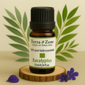 Eucalyptus — Peaux Grasses et sensible
