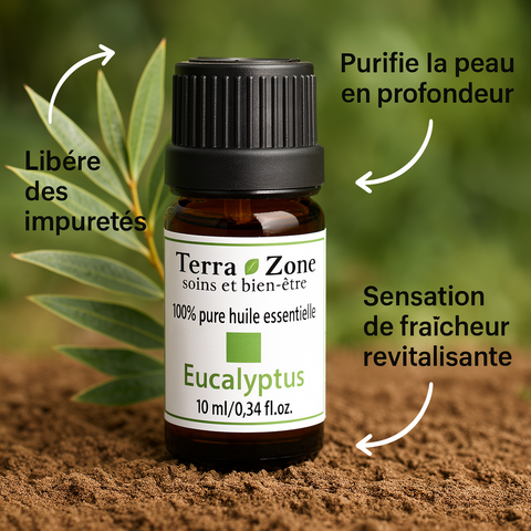 Huile Eucalyptus – Rafraîchit et régule l’excès de sébum