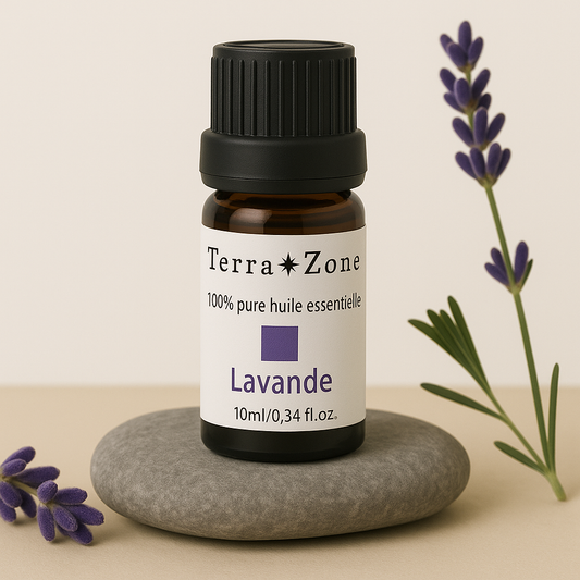 Lavande — Apaise & Répare