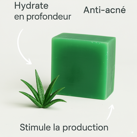 Savon Aloé Vera — Régénère, hydrate et lisse la peau au quotidien